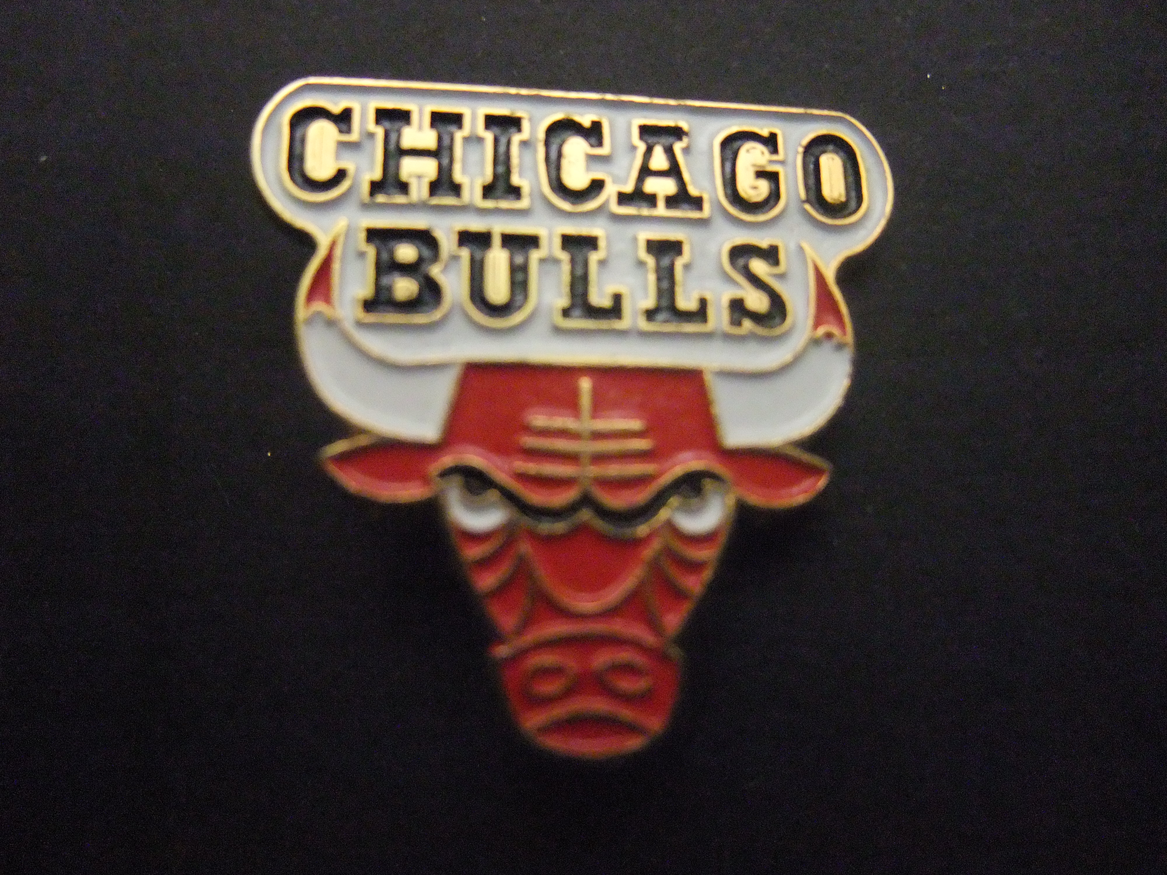The Chicago Bulls basketbalteam Chicago, Illinois